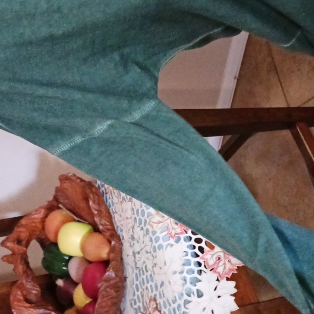 American Eagle- Teal Long Sleeve V-Neck Top - Picture 4 of 10